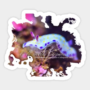 Colorful Nudibranch Sticker